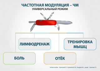 СКЭНАР-1-НТ (исполнение 01)  в Калининграде купить Медицинская техника - denasosteo.ru 