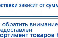 СКЭНАР-1-НТ (исполнение 01 VO) Скэнар Мастер купить в Калининграде, Аппараты Скэнар купить в Калининграде, Медицинская техника - denasosteo.ru